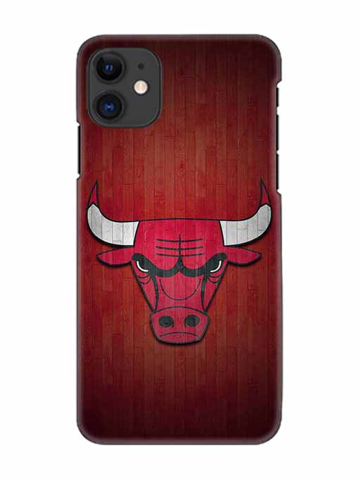 0192 Chicago bulls.jpg Cartwala