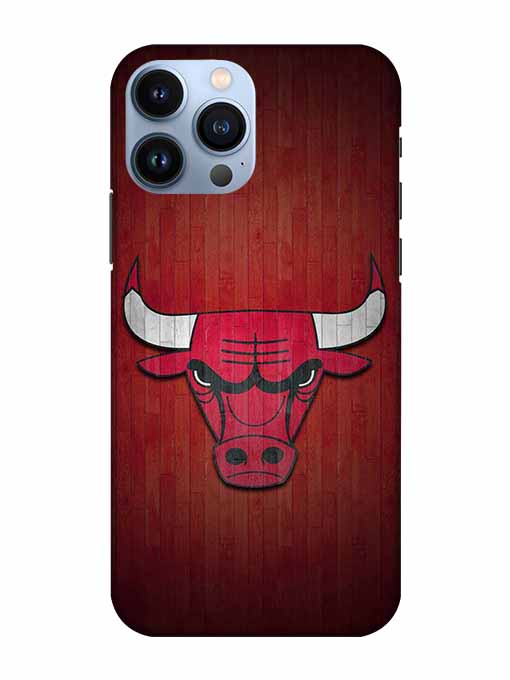 0192 Chicago bulls 1.jpg Cartwala