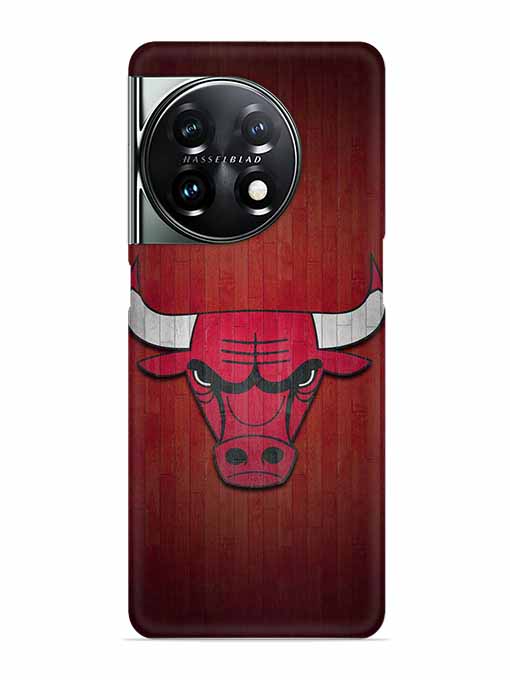 0192 Chicago bulls 10.jpg Cartwala