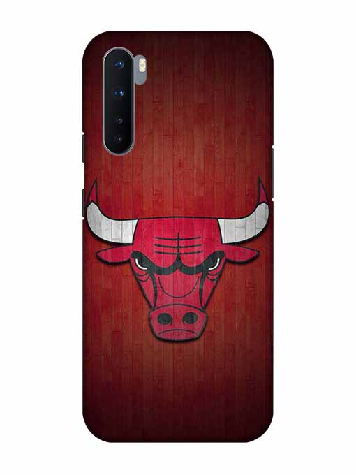 0192 Chicago bulls 11.jpg Cartwala