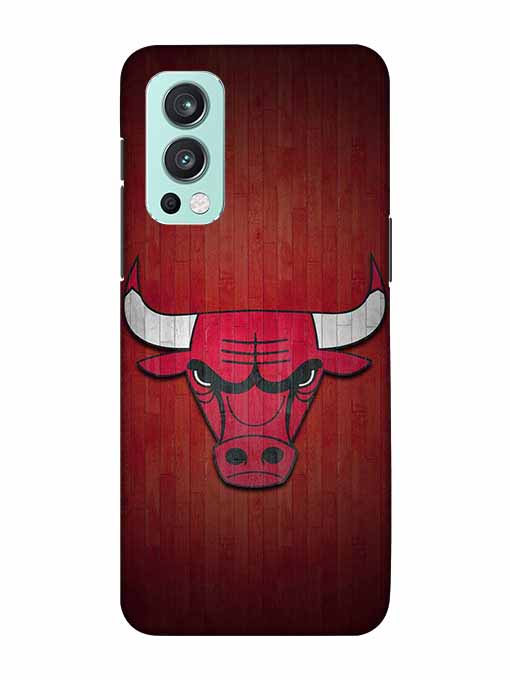 0192 Chicago bulls 12.jpg Cartwala