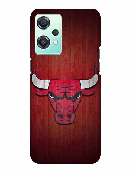 0192 Chicago bulls 13.jpg Cartwala