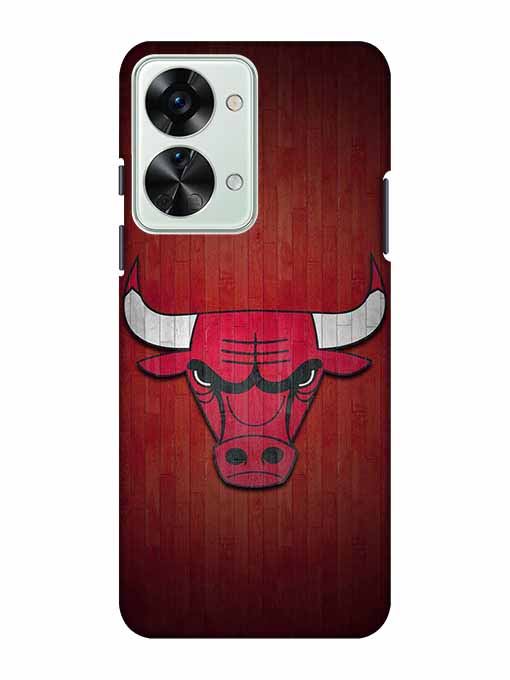 0192 Chicago bulls 14.jpg Cartwala