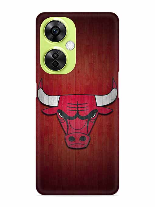 0192 Chicago bulls 15.jpg Cartwala