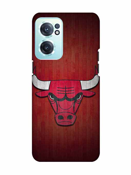 0192 Chicago bulls 16.jpg Cartwala