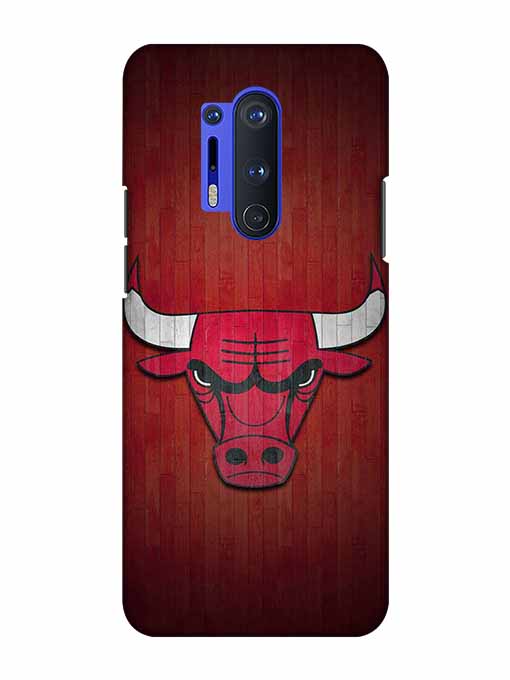 0192 Chicago bulls 18.jpg Cartwala