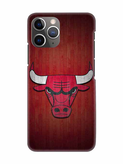 0192 Chicago bulls 2.jpg Cartwala