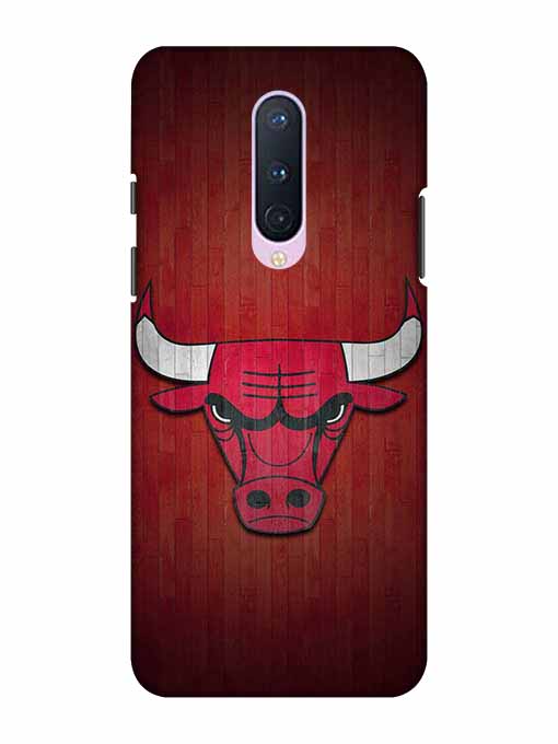 0192 Chicago bulls 20.jpg Cartwala