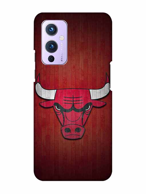 0192 Chicago bulls 21.jpg Cartwala