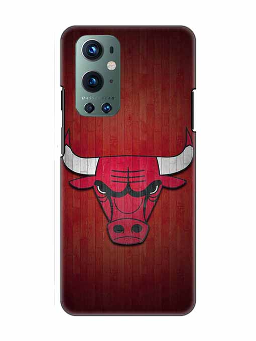 0192 Chicago bulls 22.jpg Cartwala