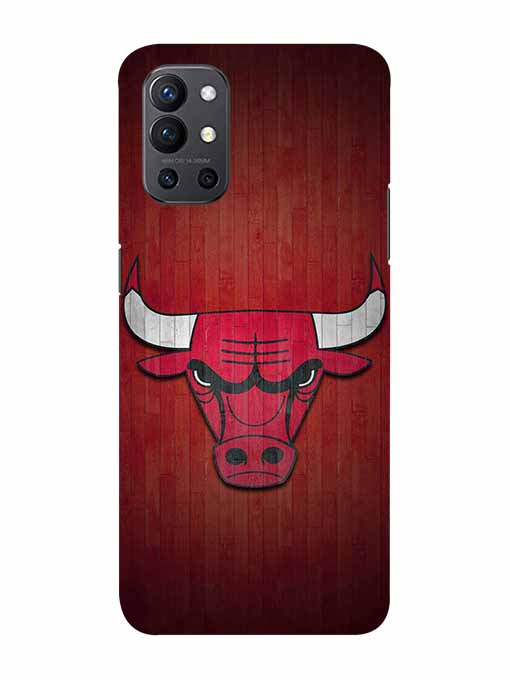 0192 Chicago bulls 23.jpg Cartwala