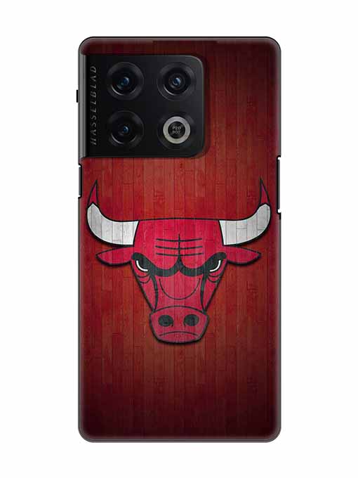 0192 Chicago bulls 25.jpg Cartwala