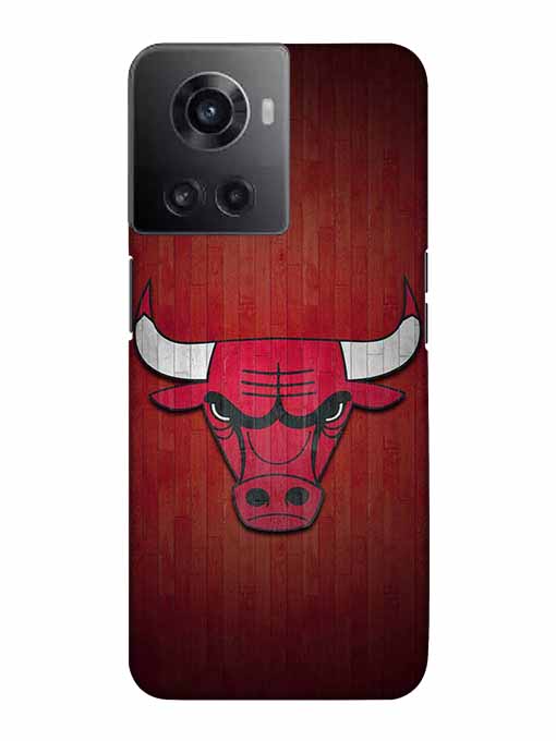 0192 Chicago bulls 26.jpg Cartwala