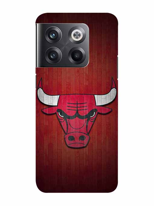 0192 Chicago bulls 27.jpg Cartwala