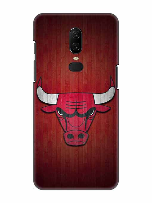 0192 Chicago bulls 28.jpg Cartwala