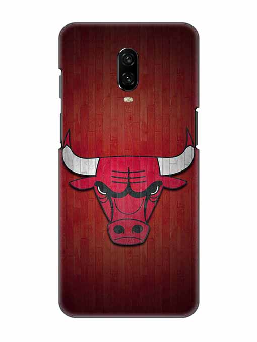 0192 Chicago bulls 29.jpg Cartwala