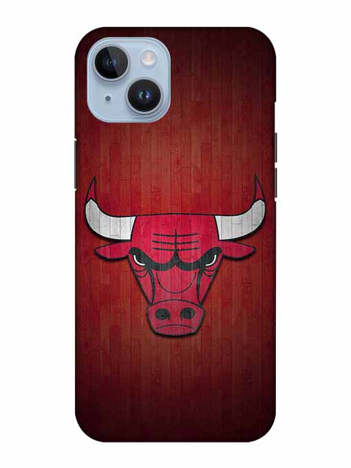 0192 Chicago bulls 3.jpg Cartwala