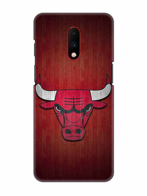 0192 Chicago bulls 30.jpg Cartwala