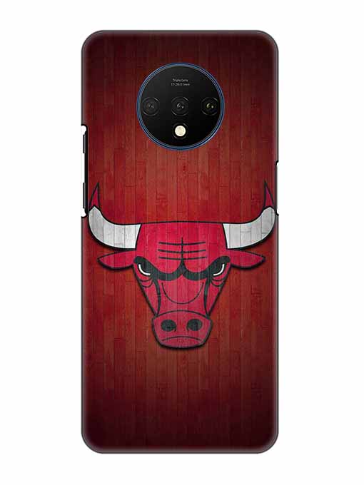 0192 Chicago bulls 31.jpg Cartwala