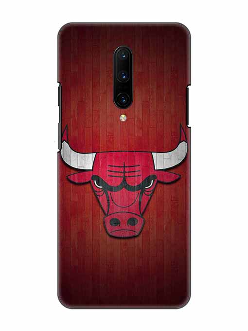 0192 Chicago bulls 32.jpg Cartwala