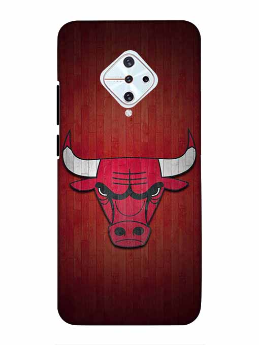 0192 Chicago bulls 35.jpg Cartwala