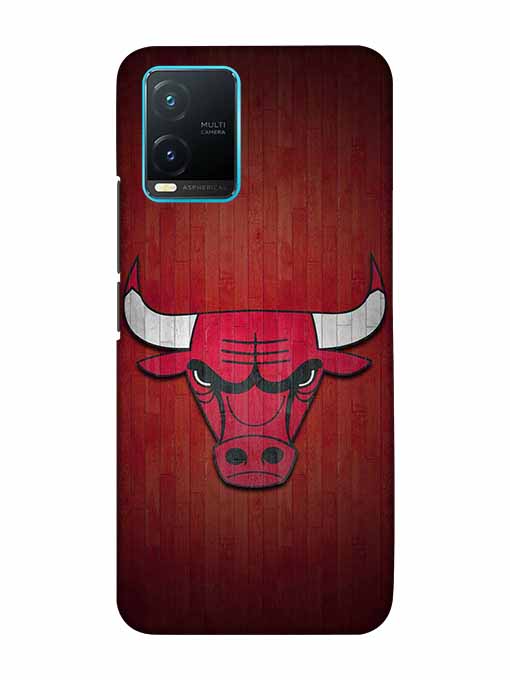 0192 Chicago bulls 38.jpg Cartwala