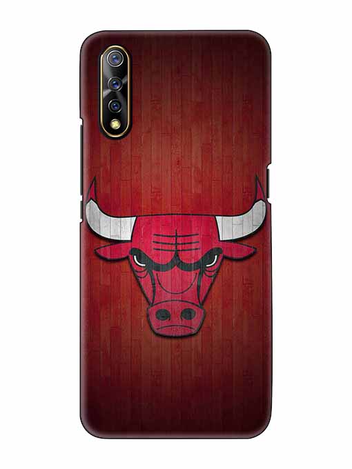 0192 Chicago bulls 39.jpg Cartwala