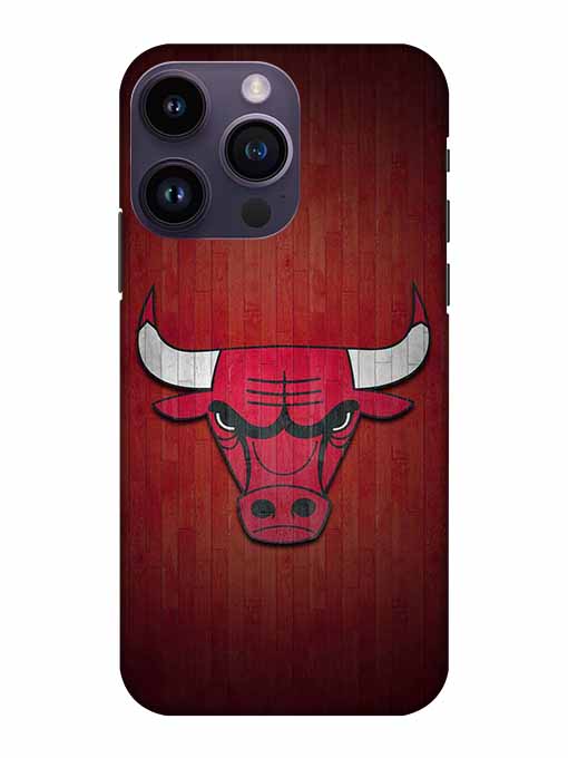 0192 Chicago bulls 4.jpg Cartwala