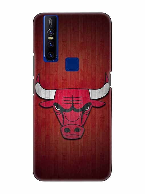 0192 Chicago bulls 42.jpg Cartwala