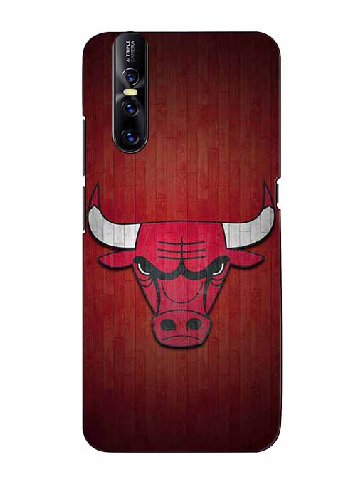 0192 Chicago bulls 43.jpg Cartwala