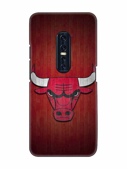 0192 Chicago bulls 46.jpg Cartwala