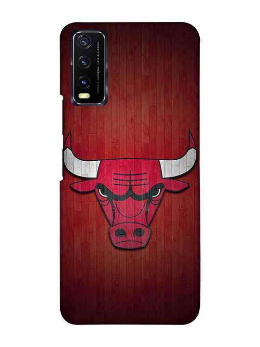 0192 Chicago bulls 48.jpg Cartwala