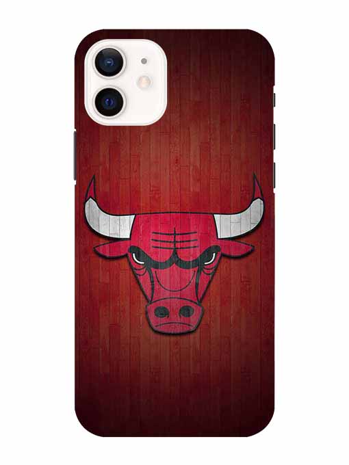 0192 Chicago bulls 5.jpg Cartwala