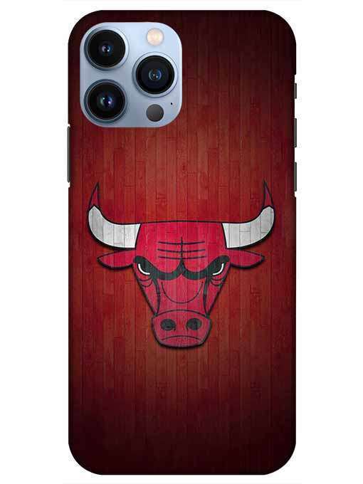 0192 Chicago bulls 55.jpg Cartwala