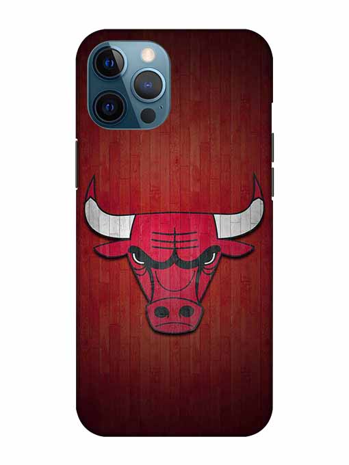 0192 Chicago bulls 7.jpg Cartwala