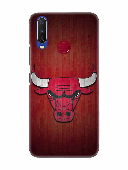 0192 Chicago bulls 8.jpg Cartwala