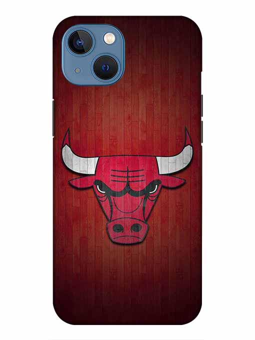 0192 Chicago bulls.jpg Cartwala